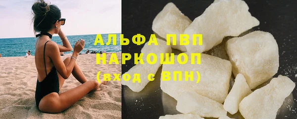спиды Гусев
