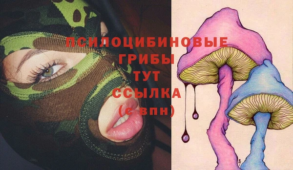 Альфа ПВП Гусиноозёрск