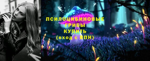 спиды Гусев