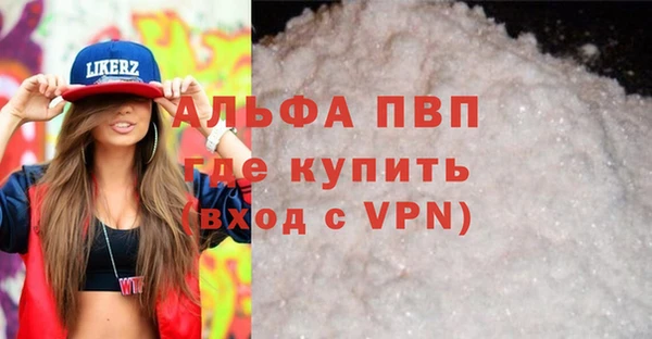 спиды Гусев