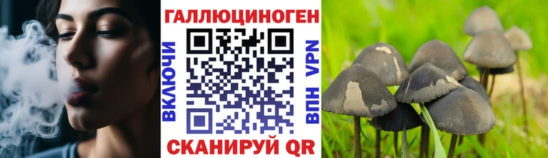 Купить  Навашино  Галлюциногенные грибы MAGIC MUSHROOMS 